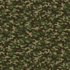 Desert Camo Fabric